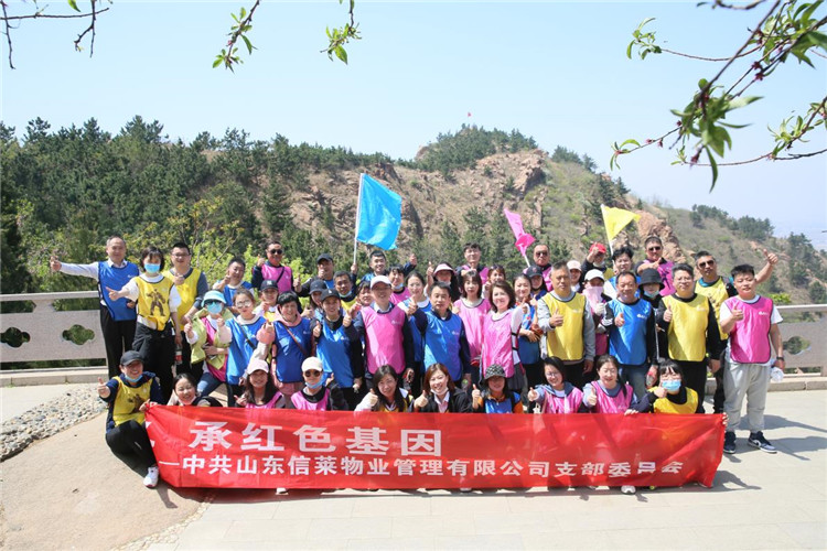 青岛拓展培训公司图片